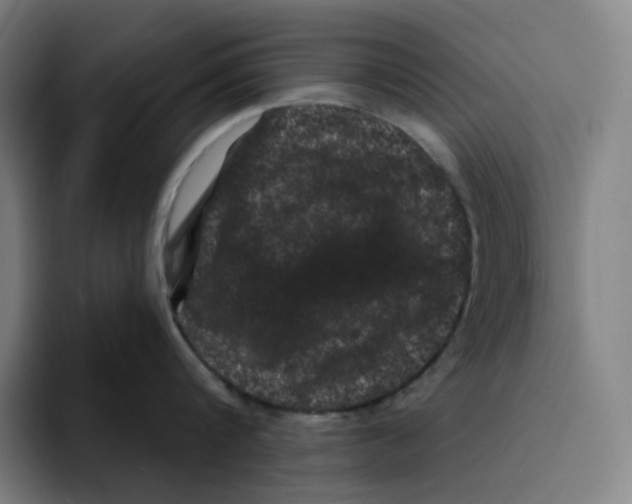 X0000094920816200712271531
