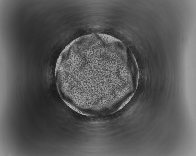 X0000094920818200712271531