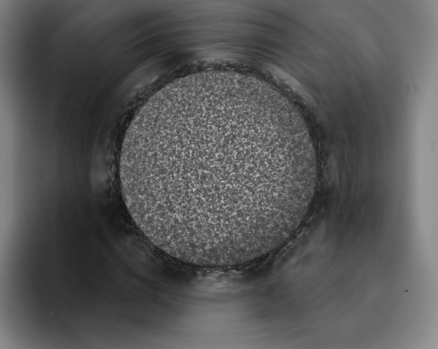 X0000094920824200712271531