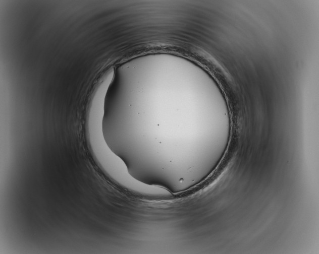 X0000094920825200712271531