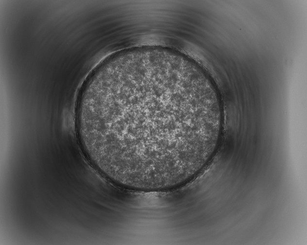 X0000094920828200712271531