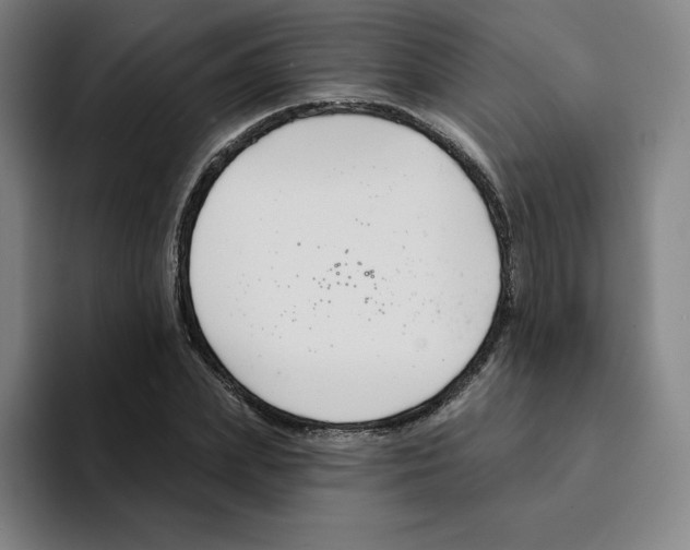 X0000094920831200712271531