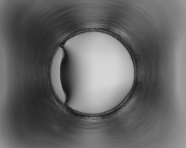 X0000094920833200712271531