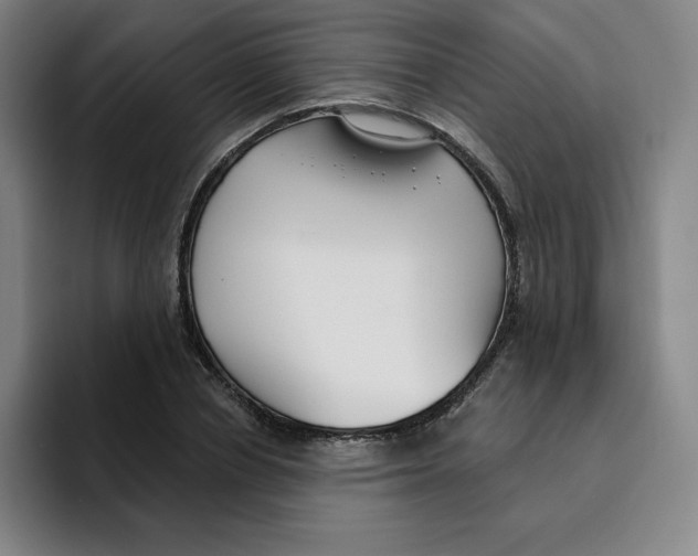 X0000094920834200712271531