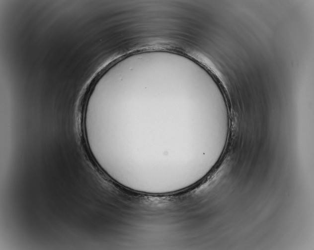X0000094920835200712271531