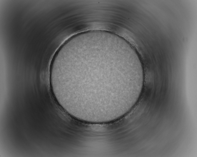 X0000094920836200712271531