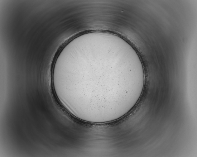 X0000094920840200712271531