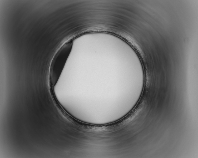 X0000094920845200712271531