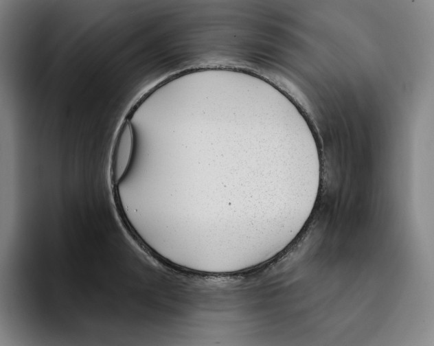X0000094920847200712271531