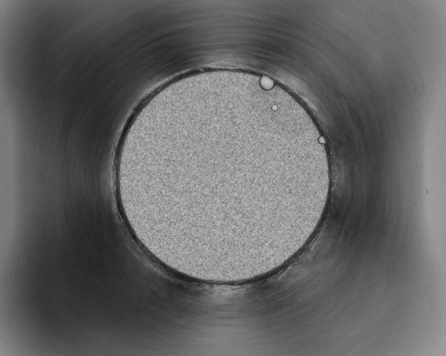 X0000094920848200712271531