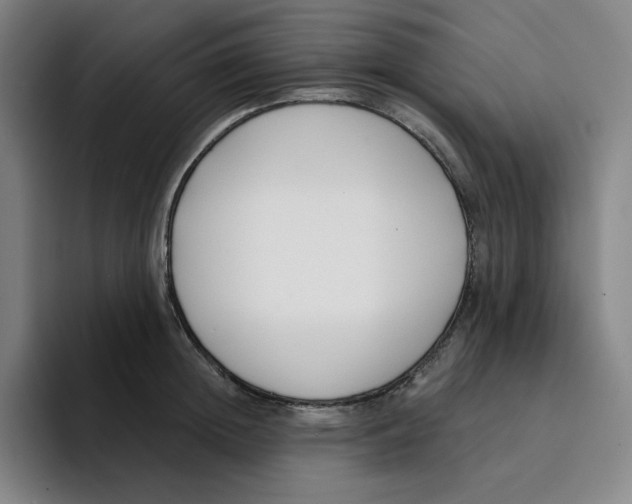 X0000094920852200712271531