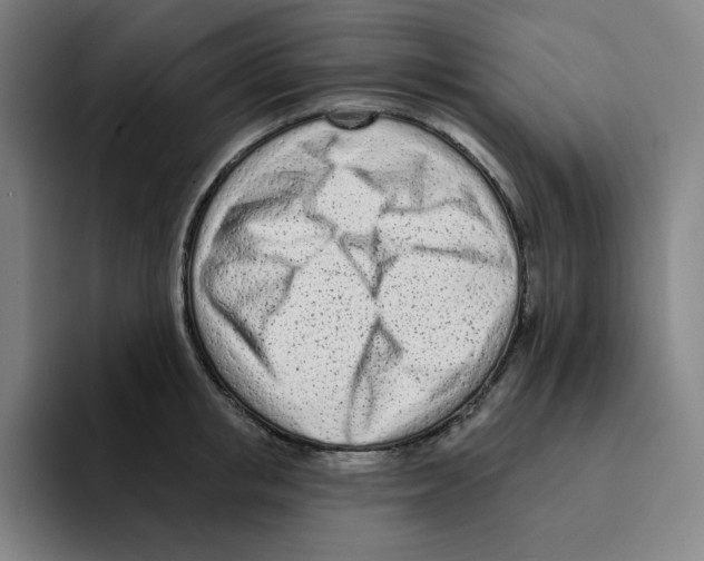 X0000094920853200712271531