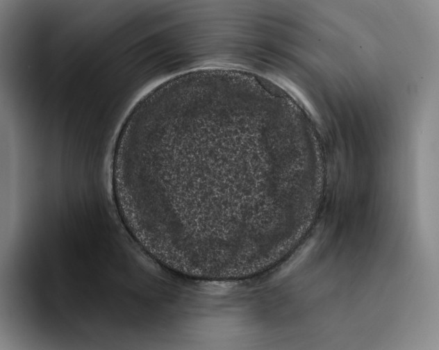 X0000094920854200712271531