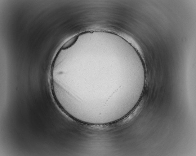 X0000094920855200712271531