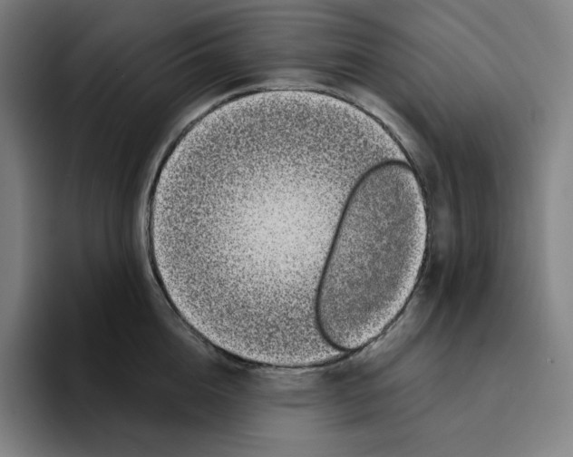 X0000094920856200712271531
