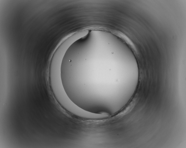 X0000094920860200712271531