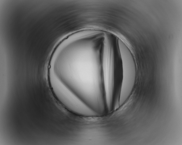 X0000094920862200712271531