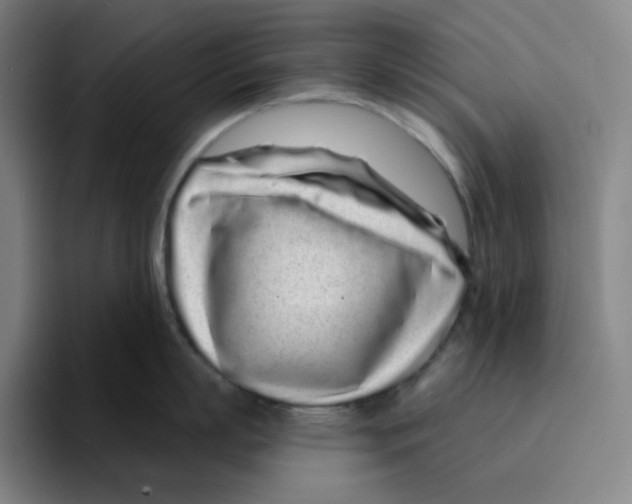 X0000094920863200712271531