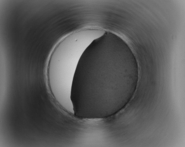 X0000094920864200712271531