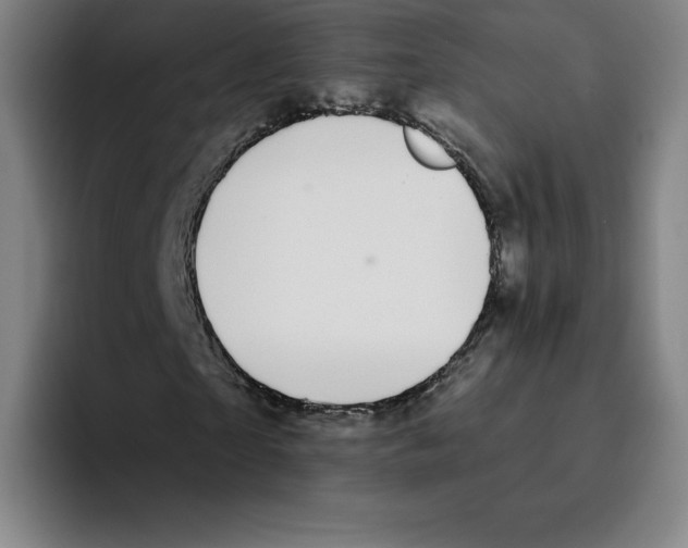 X0000094920865200712271531