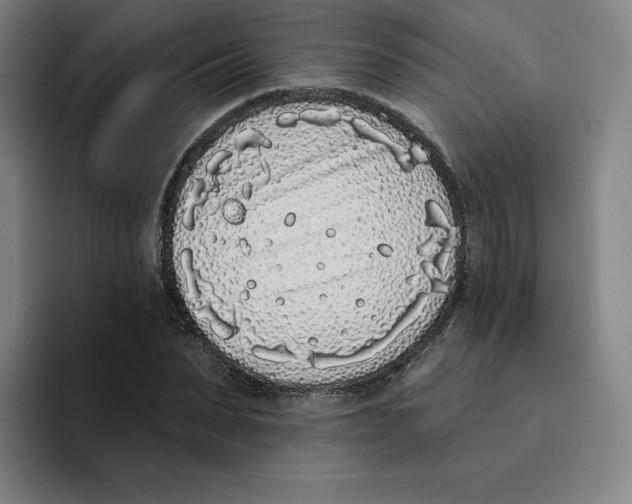 X0000094920879200712271530