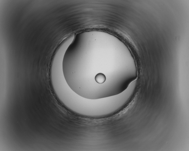 X0000094920881200712271530