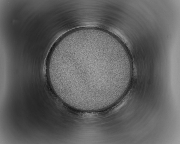 X0000094920883200712271530