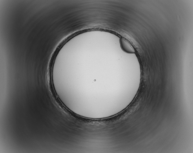 X0000094920888200712271530
