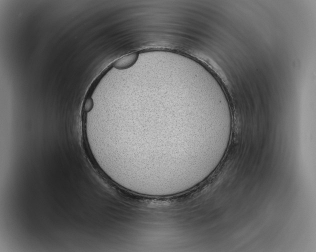 X0000094920890200712271530