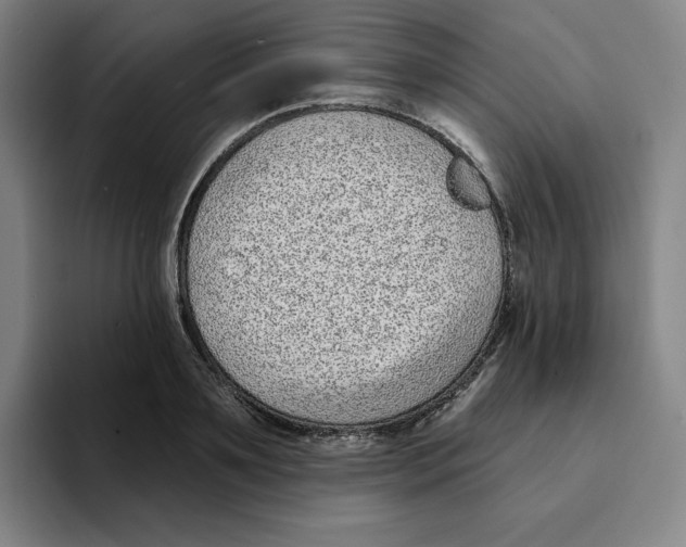 X0000094920891200712271530