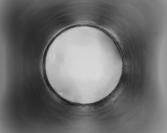 X0000094920895200712271530