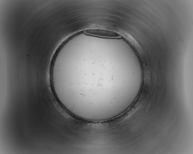 X0000094920896200712271530