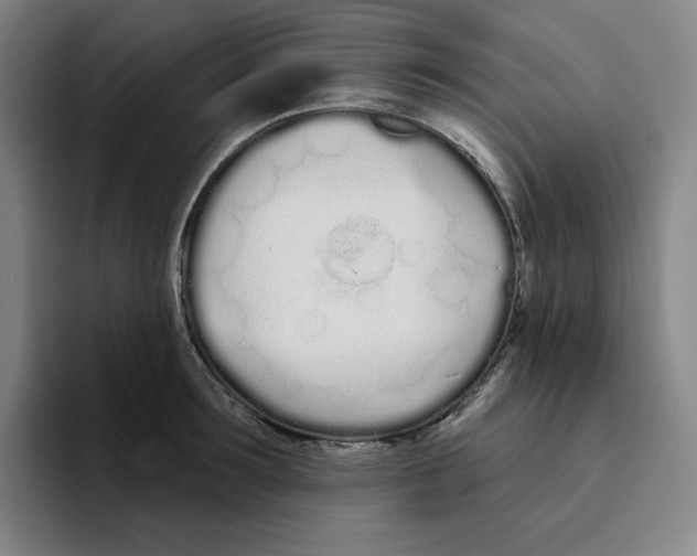 X0000094920899200712271530