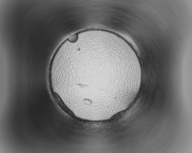 X0000094920903200712271530