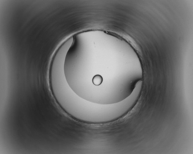 X0000094920904200712271530
