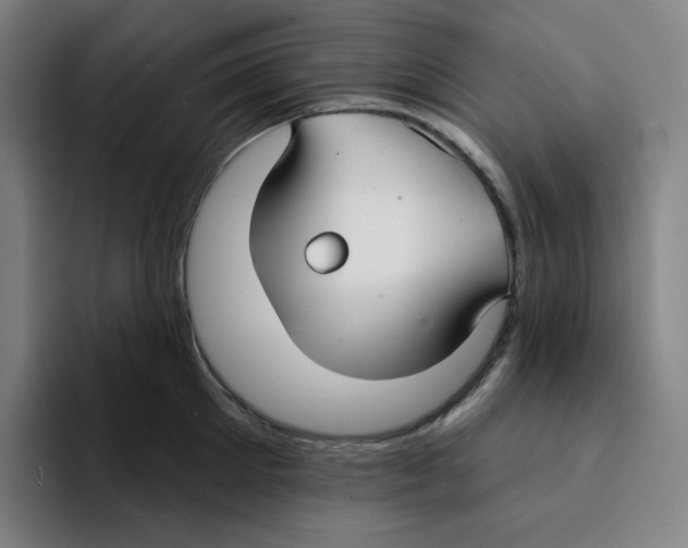 X0000094920905200712271530
