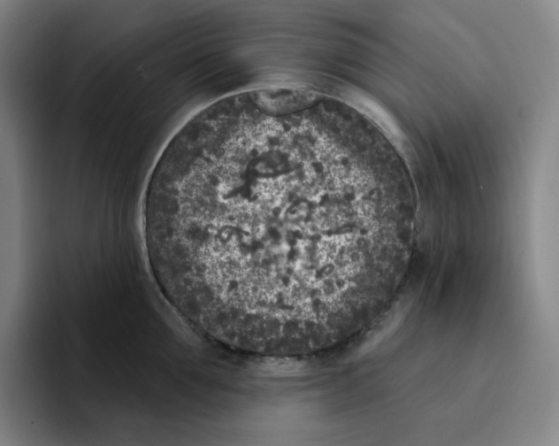 X0000094920907200712271530