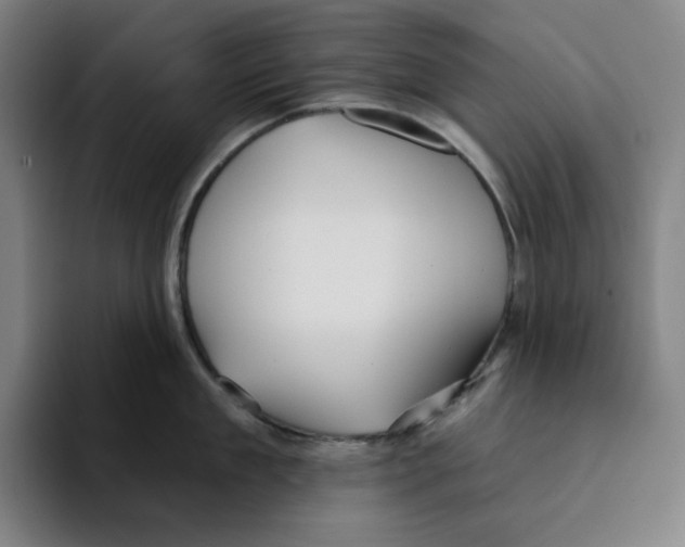 X0000094920909200712271530