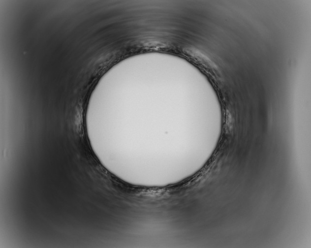 X0000094920917200712271529