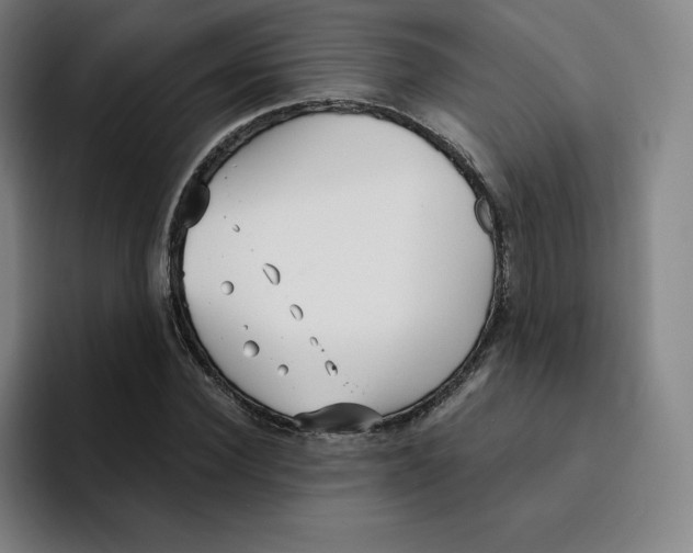 X0000094920924200712271529