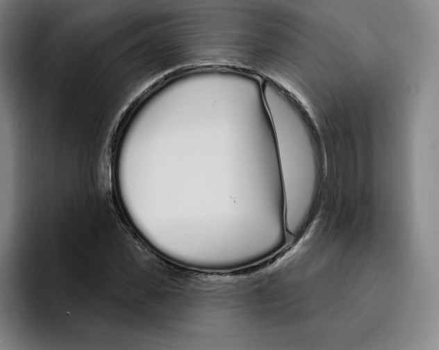 X0000094920925200712271529