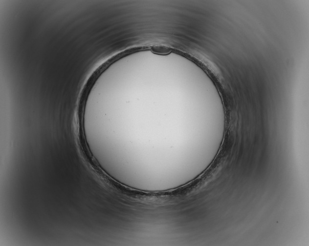X0000094920936200712271530