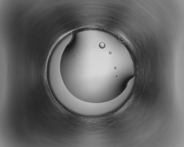 X0000094920940200712271530