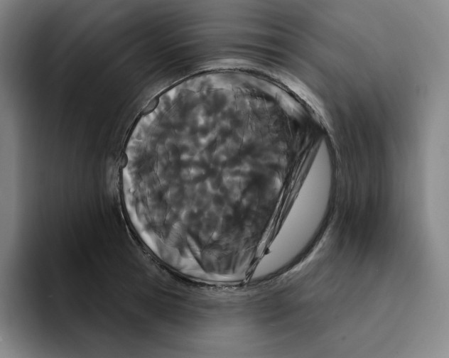 X0000094920945200712271530