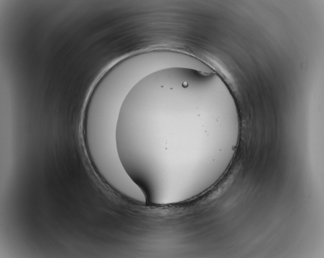 X0000094920948200712271530