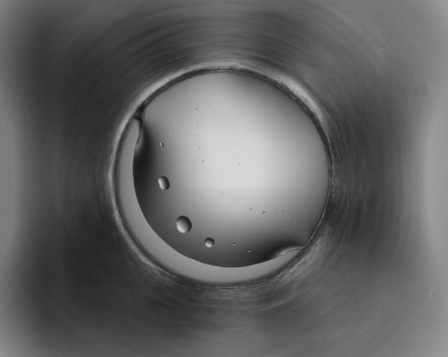 X0000094920951200712271530