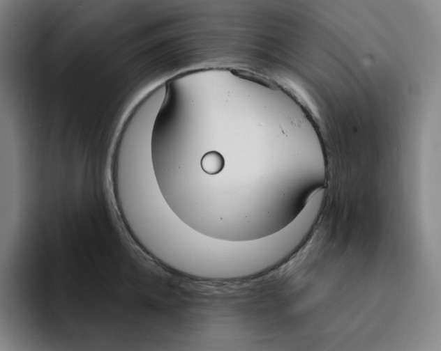 X0000094920952200712271530