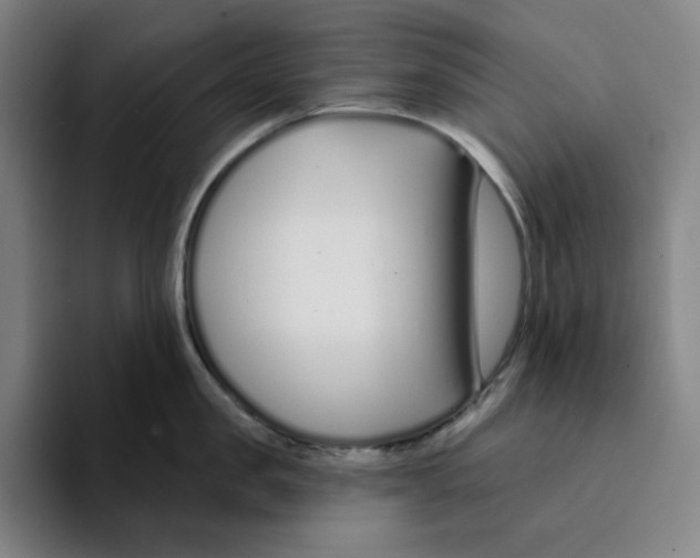 X0000094920957200712271530
