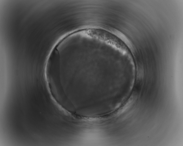 X0000094920958200712271530