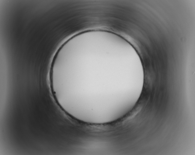 X0000094920959200712271530
